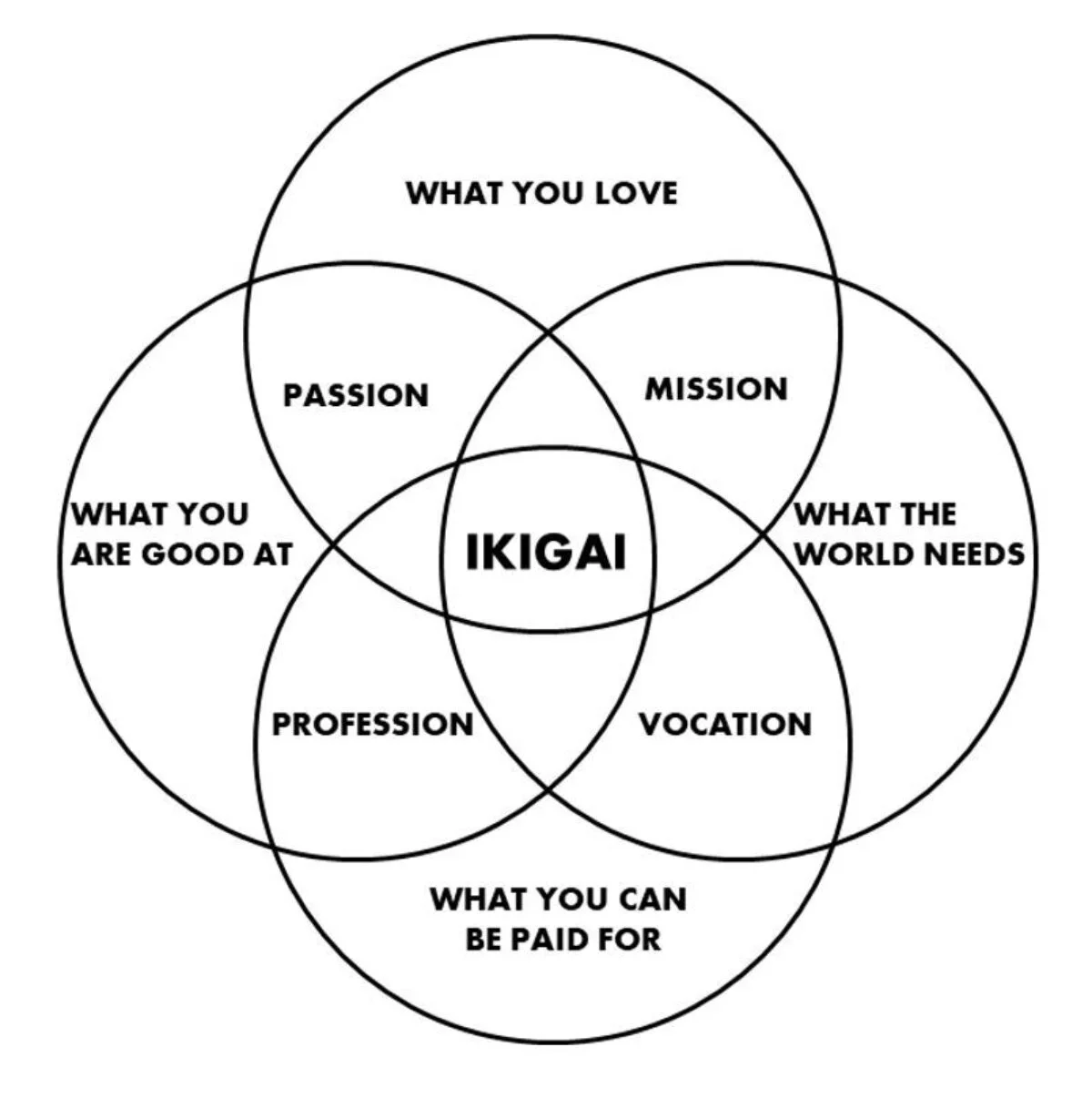 Ikigai visual